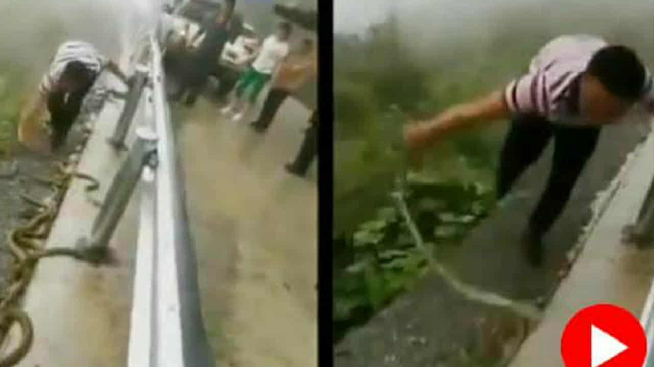 রেলিঙের পাশ থেকে হাত দিয়েই সরিয়ে ফেলছেন একাধিক সাপ! যুবকের কাণ্ডে শিহরিত নেট দুনিয়া