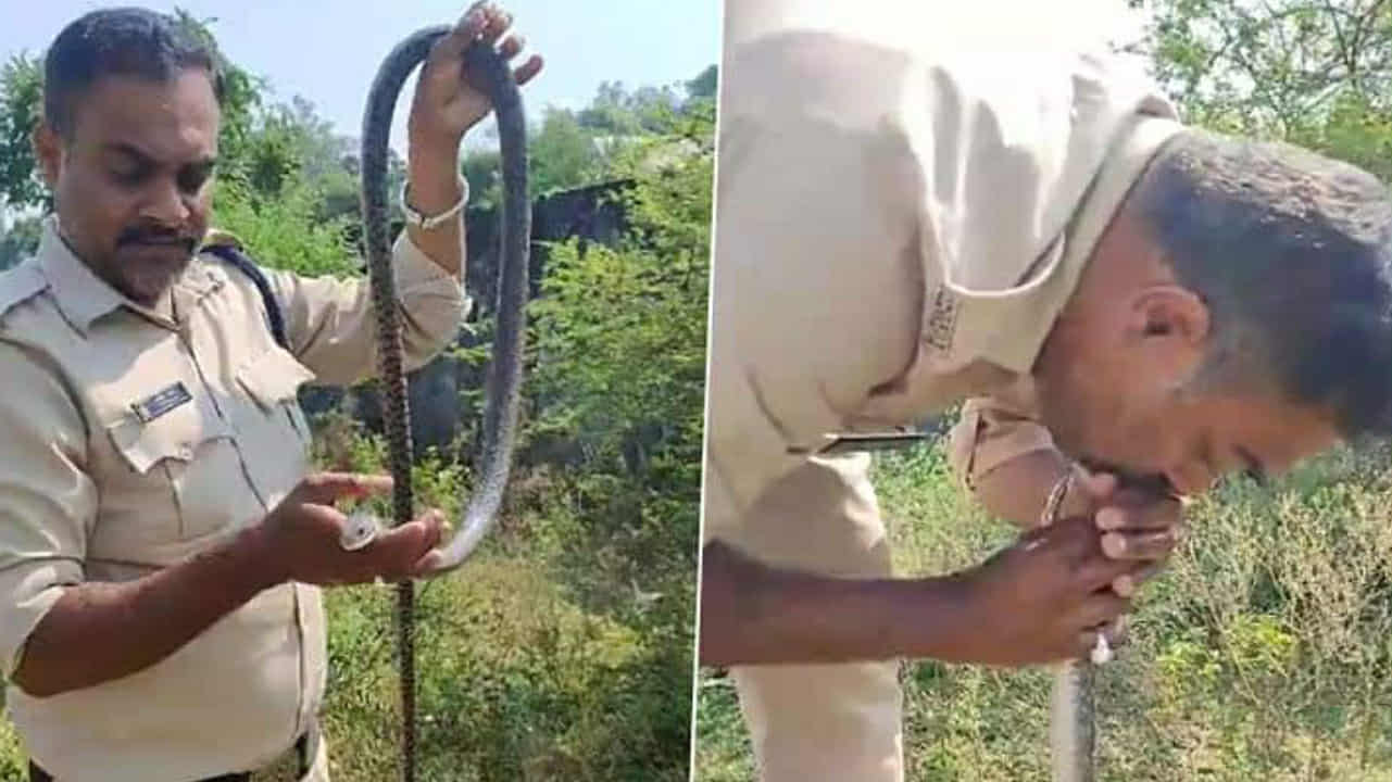 সাপকে সিপিআর দিচ্ছেন পুলিশ কর্মী! সরীসৃপের জীবন বাঁচিয়ে প্রশংসা কুড়োলেন এই কনস্টেবল